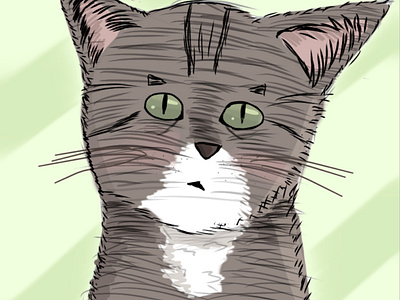 American Wirehair Cat animal art cat digitalart green