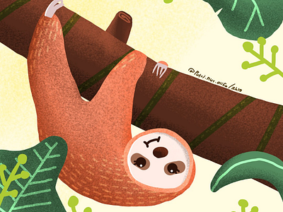 A Hanging Sloth illustrationslothdrawing