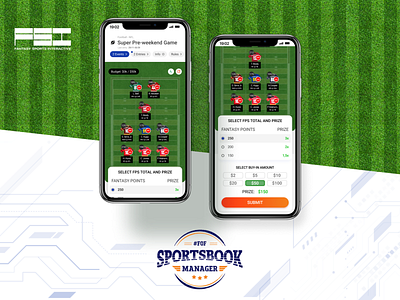 Fantasy football mobile application