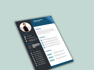 Resume Design biodata design