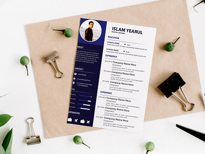 Resume Cover biodata design