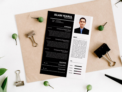 CV Design biodata design