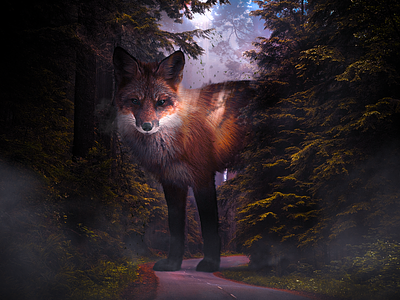 LOST composite digital art forest fox giant photomanipulation photoshop stare surrealism