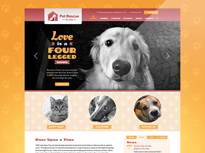 Pet Rescue by Judy Redesign adopt by cats dogs judy love pet redesign rescue shelter volunteer website