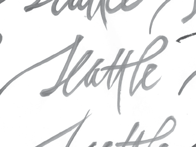 Screen Shot 2014 11 10 At 8.42.21 Am branding hand type script typography