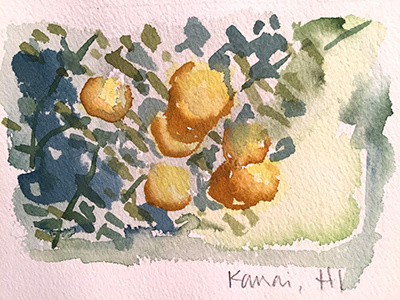 kauai illustration sketch watercolor