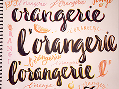 orange sketches hand lettering script type typography