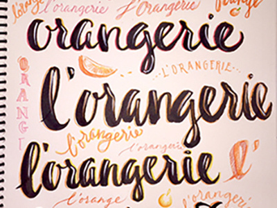 orange sketches