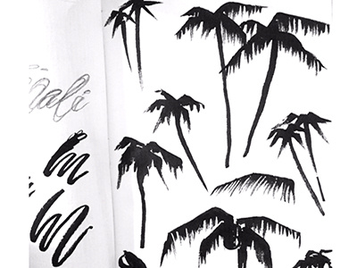 Palms illustration ink palms plants sketches trees