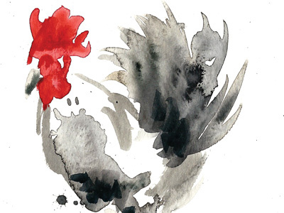 Rooster illustration watercolor