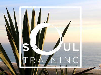 Soul Training branding logo logo design
