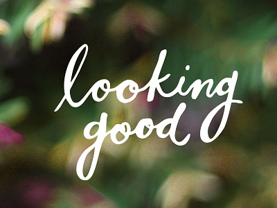 Looking Good Dood! calligraphy good hand drawn hand lettering looking nature spring type