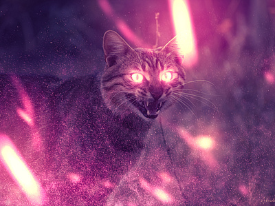 Zozo abstract animal art beautiful cat colorful composite design fantasy magic night photoshop photoshop art surreal wizard