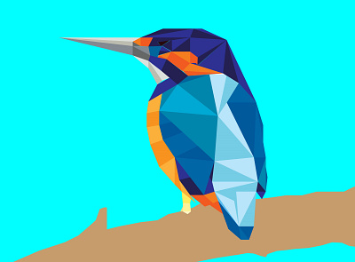 kingfisher illustration