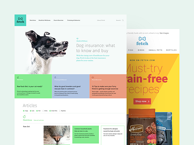 Redesign Proposal blog branding client dogs ecommerce pet proposal redesign spec ux web website