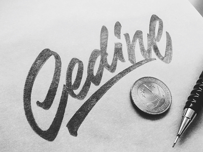 Cedine black brush brush pen calligraphy custom lettering logo logotype pencil typography