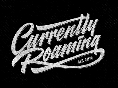 Currently Roaming by Sergey Shapiro on Dribbble