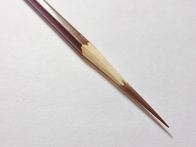Pencil pencil sharp sharpening work
