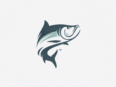 Tarpon — Release tournament wear fish fishing id identity mark salt sea sign symbol tarpon water