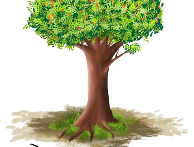 tree process character childrens book design digital painting drawing illustration vector