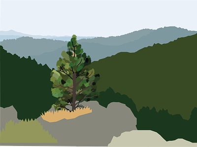 Best Seat in the House colorado green grey hike hiking illustration mountain nature photo recreation rocks tree