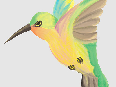 Hummingbird digital painting illustration