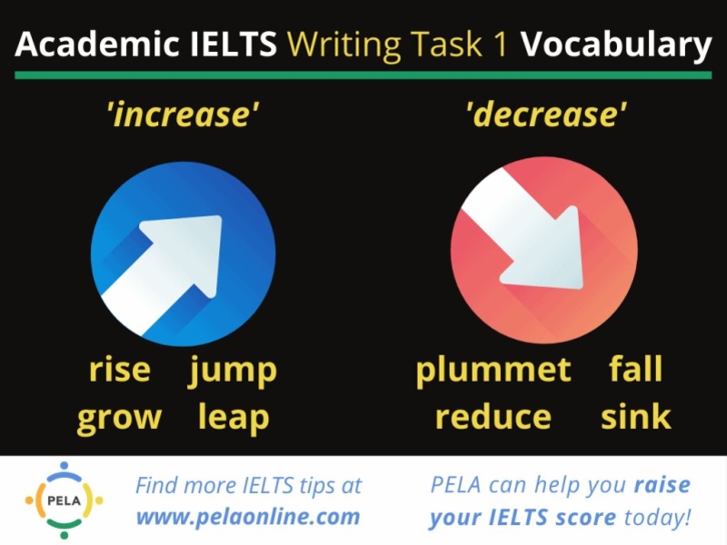 dribbble-vocabulary-ielts-writing-task-1-increase-decrease-jpg-by