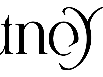 _tney ambigram custom serif type