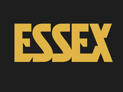 ESSEX custom design lettering logo process sans type typography