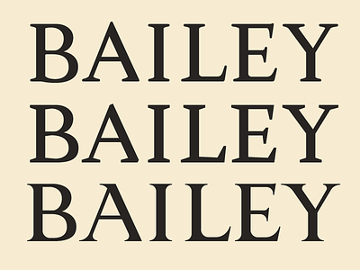 Bailey Sign Lettering Iterations lettering serif
