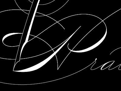 Screen Shot 2011 09 27 At 9.39.55 Pm black capital custom flourish lettering p script spencerian type typography white wip