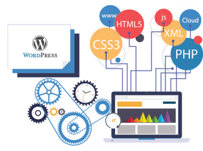 Find The Best Wordpress Development Company
