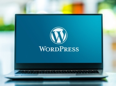 Top Custom Wordpress Development Services