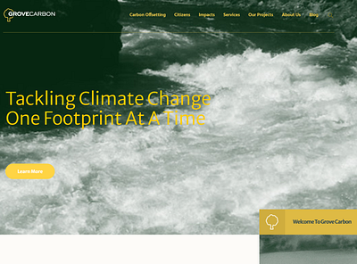 Proposed redesign for Carbon Offset Organisation brand identity environment green logo online redesign web design website