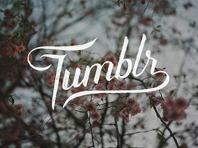 Tumblr craft hand craft lettering typography