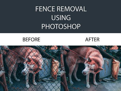 FENCE REMOVAL amazon ecommerce ecommerce app ecommerce shop photo edit photo editing photoshop woo commerce woocommerce