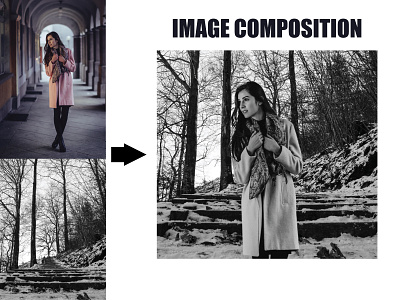 Monochromatic Image Composition
