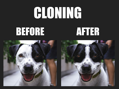Image Cloning branding clone design graphic design illustration illustrator image eiditing logo photo edit photo editing photoshop ui vector