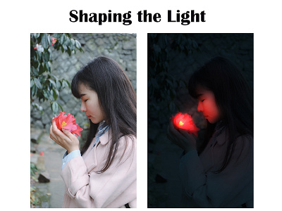 Shaping the Light graphic design illustrator photo edit photoshop shaping the light