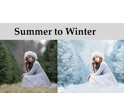 Summer to Winter graphic design photoshop