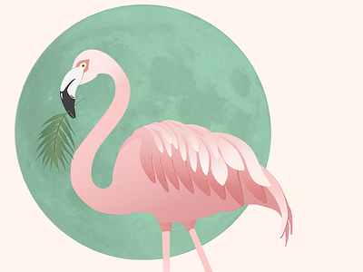 Flamingo design digital illustration digitalart drawing flamingo green illustration illustration art moon pastel picture pink vector vectorart
