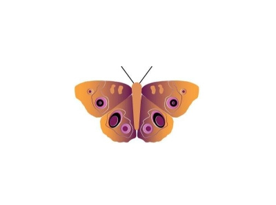 received 751966498645230 butterfly design illustration