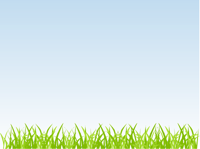 grass blue sky clear sky grass illustration spring summer vector web