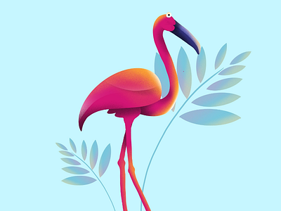 Flamingo design flamingo illustration ipad ipad air procreate