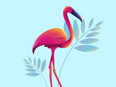 Flamingo