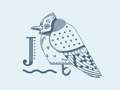 Blue J bird flat illustration lines typography vector wip