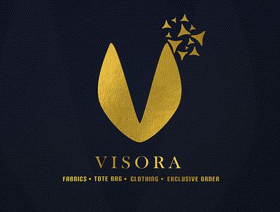 the Visora logo branding design graphic design illustration logo typography vector