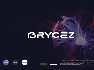 BRYCEZ Logo design, tech,crypto logo design, Brand Identity