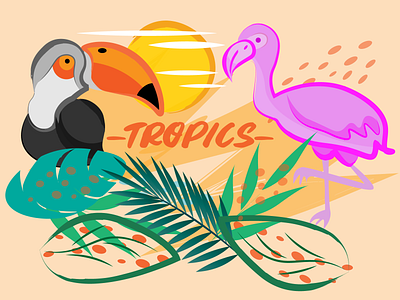 TROPICS