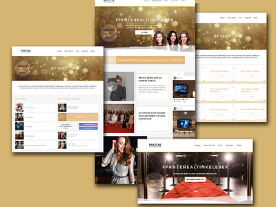 Pantene Web UI/UX app css design html5 landingpage layout mobile app design php sql ui ux web